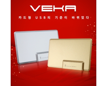 이츠 베카 카드형 USB 골드/실버 (4GB~128GB)